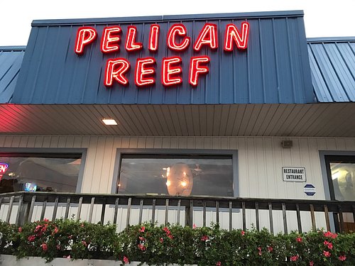 The Pelican Reef neon sign at night